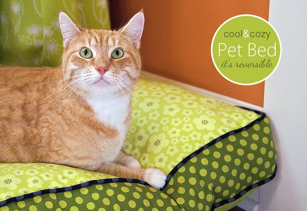 Pet Bed